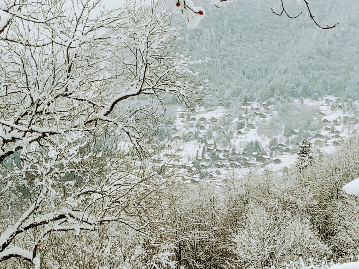Le Chalet Du Blanc Spa Yoga Aillon-le-Jeune 외부 사진