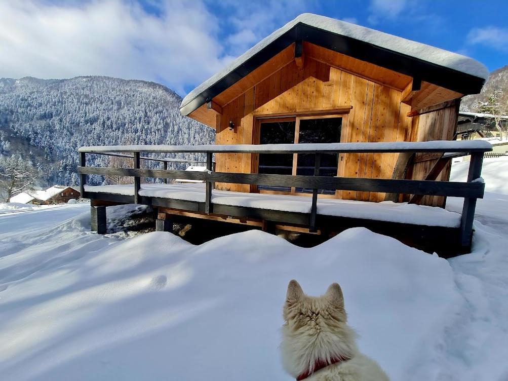 Le Chalet Du Blanc Spa Yoga Aillon-le-Jeune 외부 사진