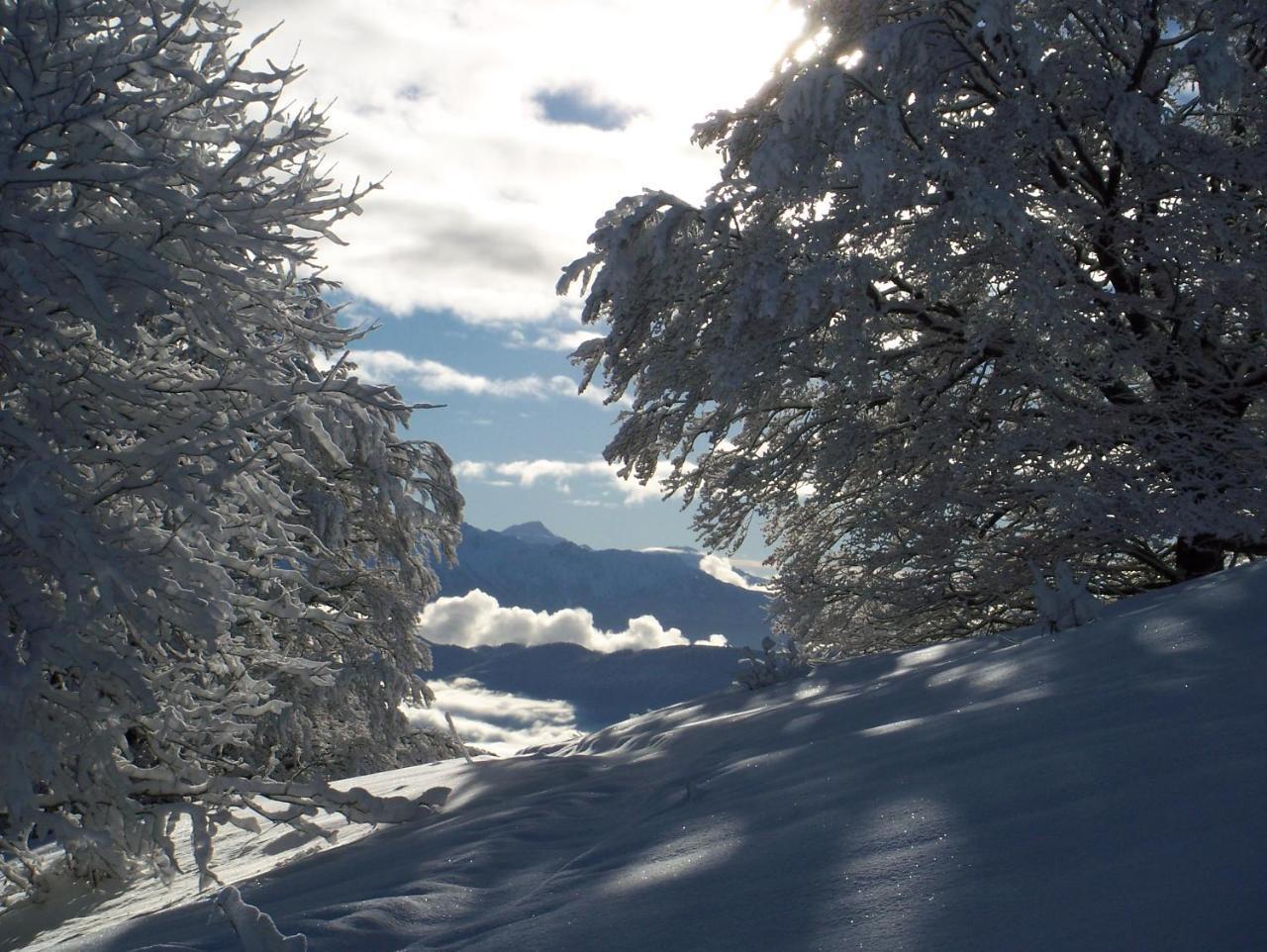 Aillon-le-Jeune Le Chalet Du Blanc Spa Yoga B&B 외부 사진